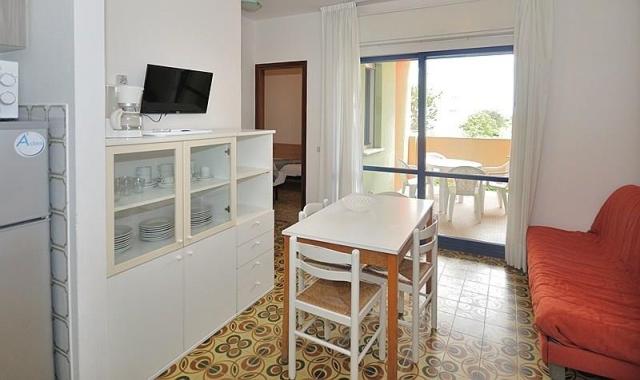 CORMORAN_BIBIONE_05.JPG