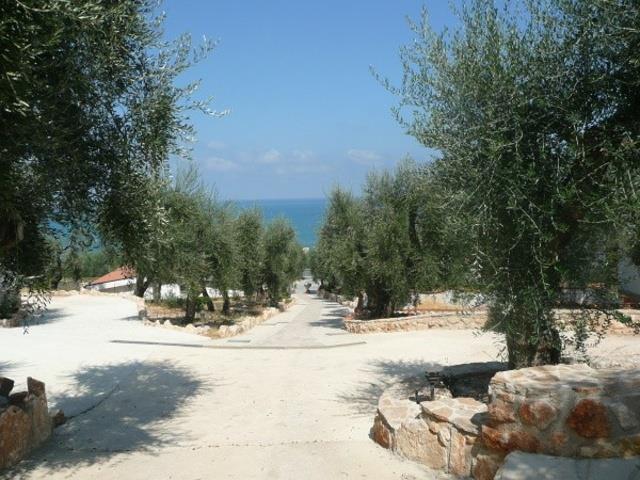 ZAGARE_RODI_GARGANICO_12.JPG