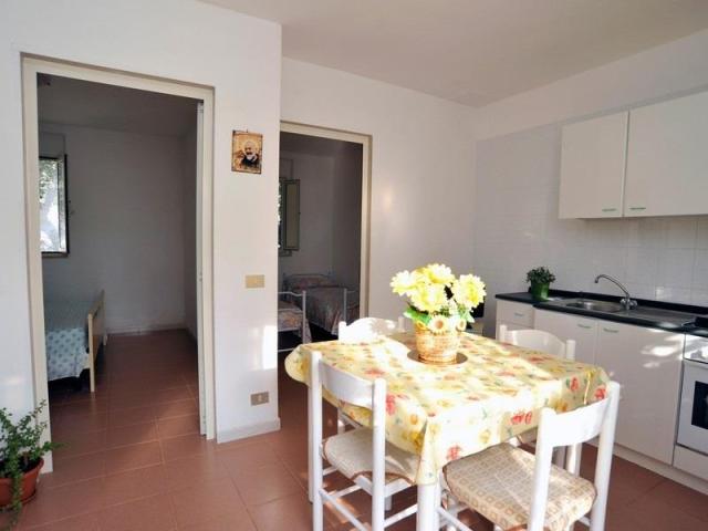 ULIVETO_MATTINATA_06.JPG