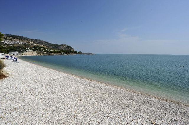 ULIVETO_MATTINATA_10.JPG