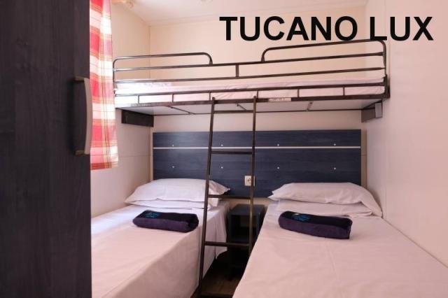 TUCANO_05.JPG