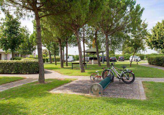 Giardini_di_altea_Lecci_09