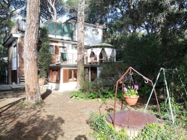 PINETA_CASTAGNETO_004.JPG