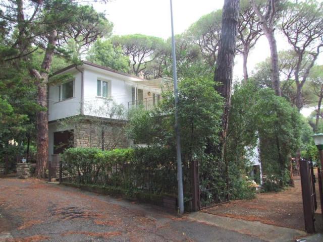 PINETA_CASTAGNETO_01.JPG