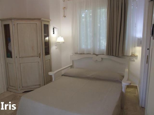 PINETA_CASTAGNETO_13.JPG