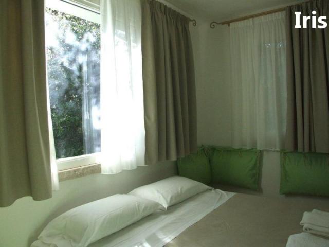 PINETA_CASTAGNETO_14.JPG