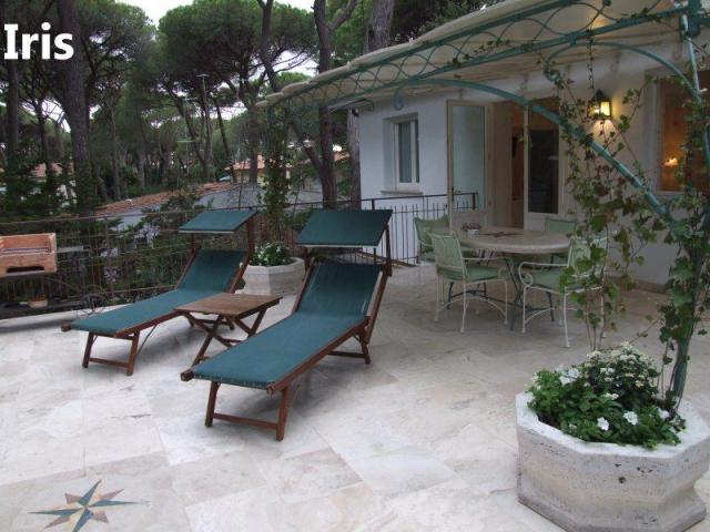 PINETA_CASTAGNETO_18.JPG