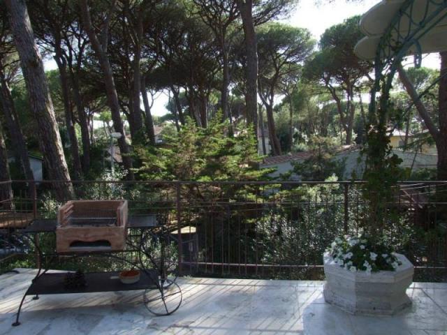 PINETA_CASTAGNETO_002.JPG