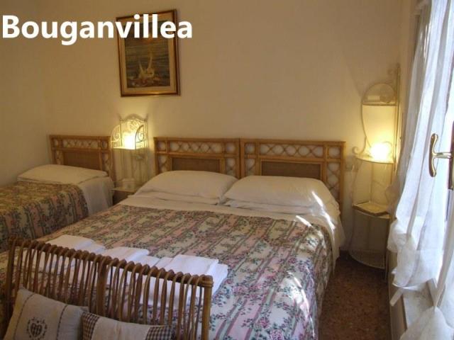 PINETA_CASTAGNETO_21.JPG
