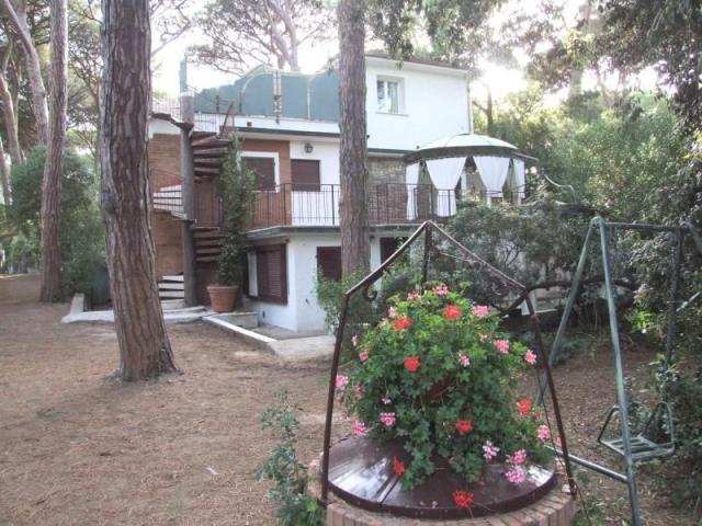 PINETA_CASTAGNETO_02.JPG