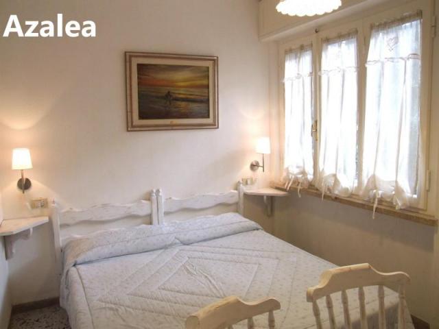 PINETA_CASTAGNETO_28.JPG