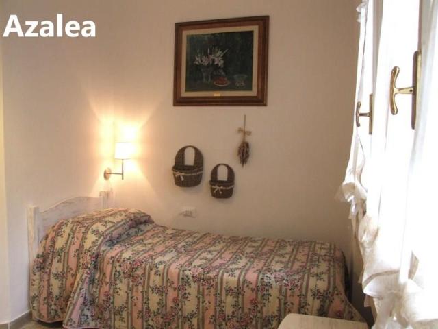 PINETA_CASTAGNETO_31.JPG