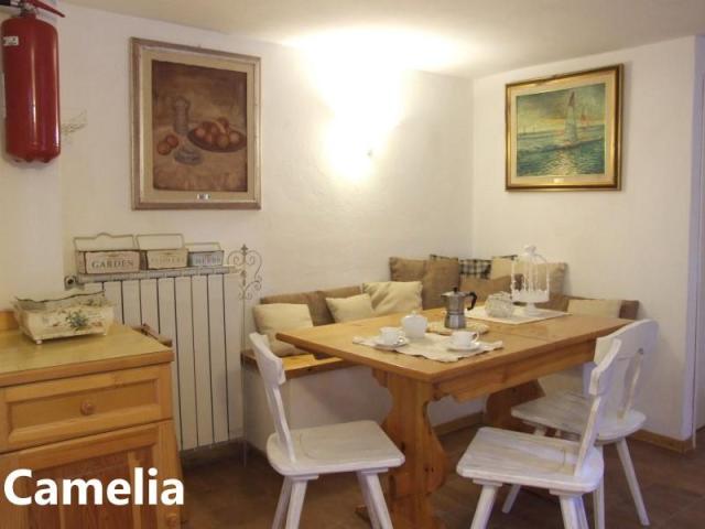 PINETA_CASTAGNETO_04.JPG
