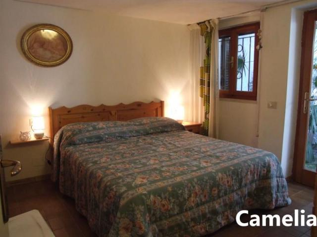 PINETA_CASTAGNETO_07.JPG