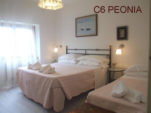 TOSCANA_AGRIFOGLI_PEONIA_22.JPG