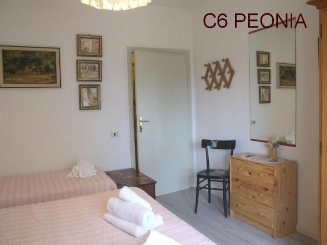TOSCANA_AGRIFOGLI_PEONIA_23.JPG