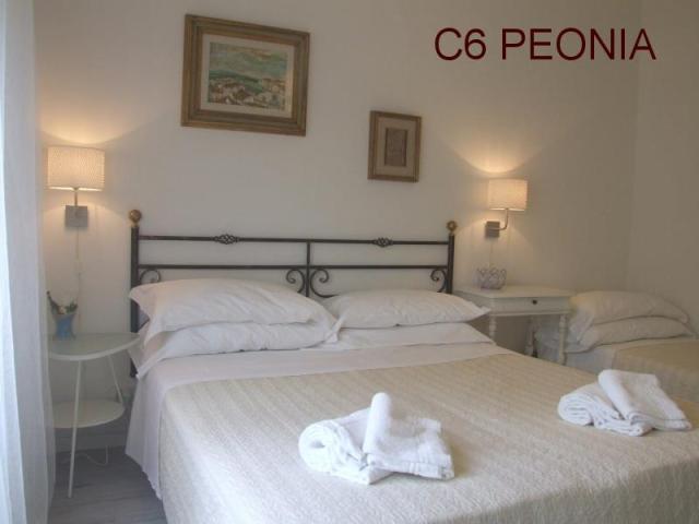 TOSCANA_AGRIFOGLI_PEONIA_26.JPG