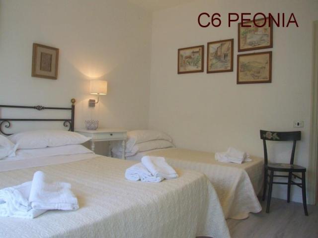 TOSCANA_AGRIFOGLI_PEONIA_27.JPG