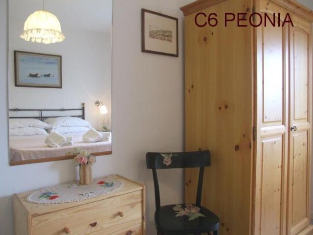 TOSCANA_AGRIFOGLI_PEONIA_28.JPG