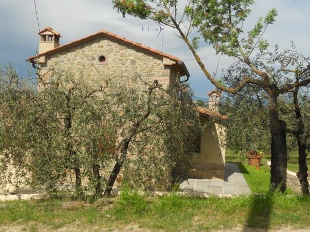 SELVA_DEGLI_ULIVI_FOIANO_DELLA_CHIANA_05.JPG