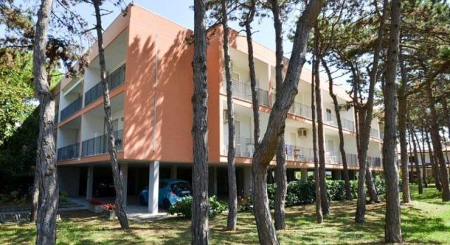 BETULLE_BIBIONE_01.JPG