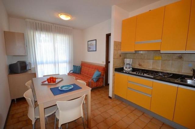 BETULLE_BIBIONE_02.JPG