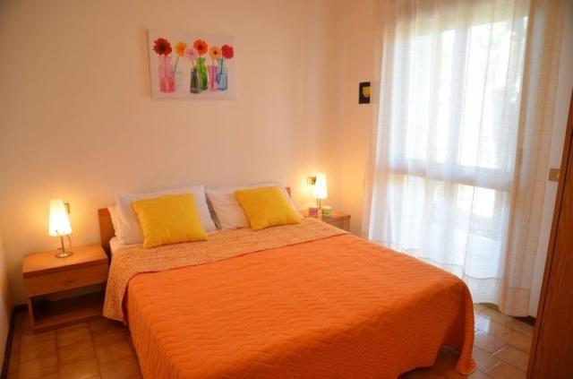 BETULLE_BIBIONE_03.JPG