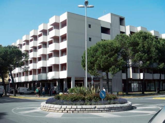 COBITA_BIBIONE_1.JPG