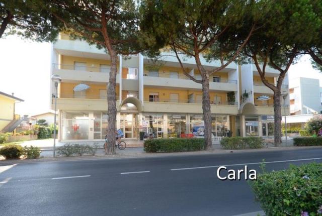 CARLA_ELENA_BIBIONE_03.JPG