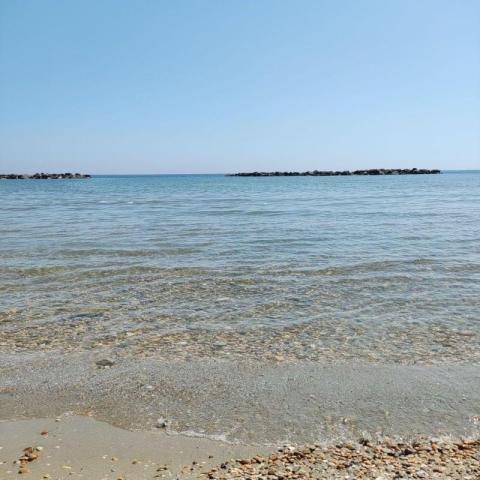 DUCA_AMEDEO_003.JPG