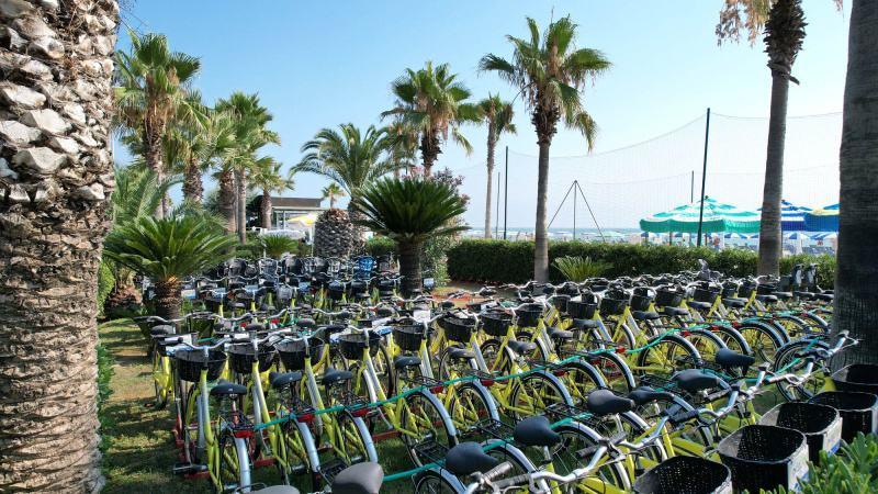 DON_ANTONIO_GIULIANOVA_0015.JPG