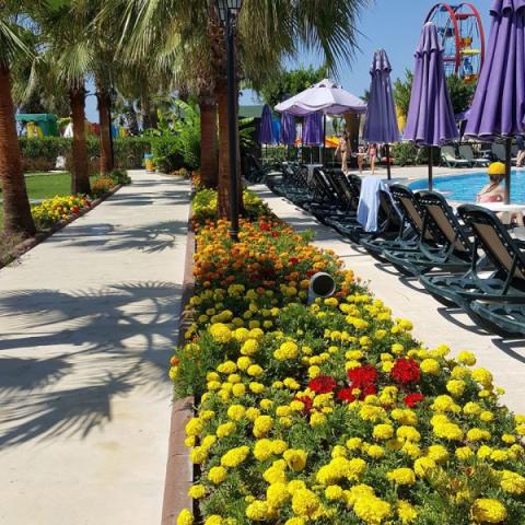 Siam Elegance Hotels & Spa