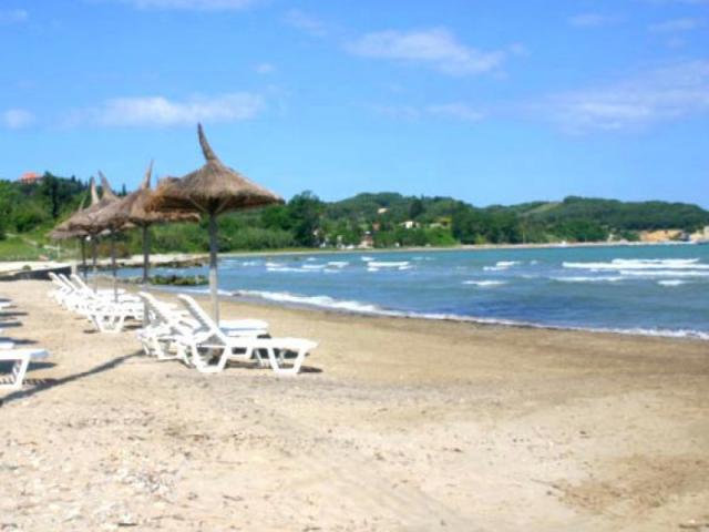 Angela Beach