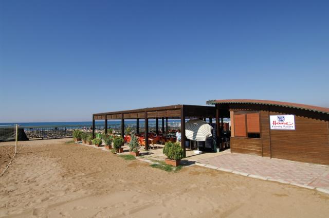 Calimera Hane Garden