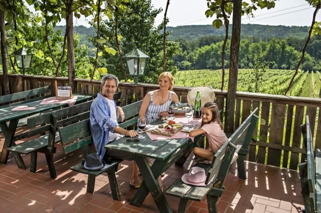 Hotel Termal, Terme 3000, Moravské Toplice, Slovinsko, Dovolená
