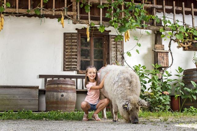 Moravske Toplice. Dovolená ve Slovinsku s CK 