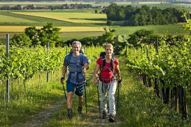 Nording walking, Moravske Toplice. Slovisko. CK 