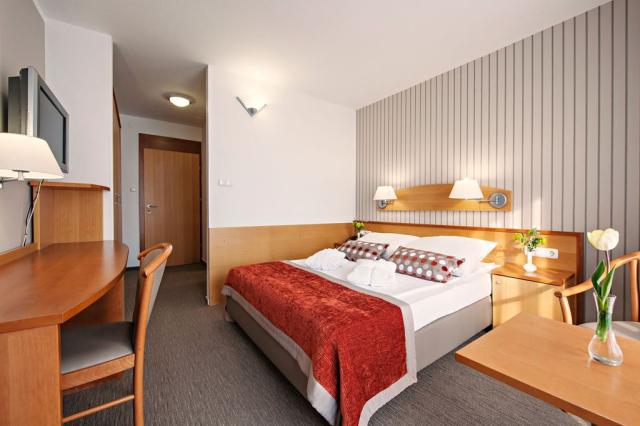 2lůžkový pokoj ECONOMY, Hotel Termal, Terme 3000, Moravské Tepl