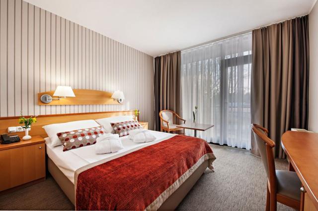 2lůžkový pokoj ECONOMY, Hotel Termal, Terme 3000, Moravské Tepl
