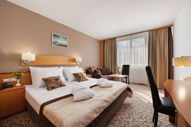 2lůžkový pokoj Standard, Hotel Termal, Terme 3000, Moravské Tep