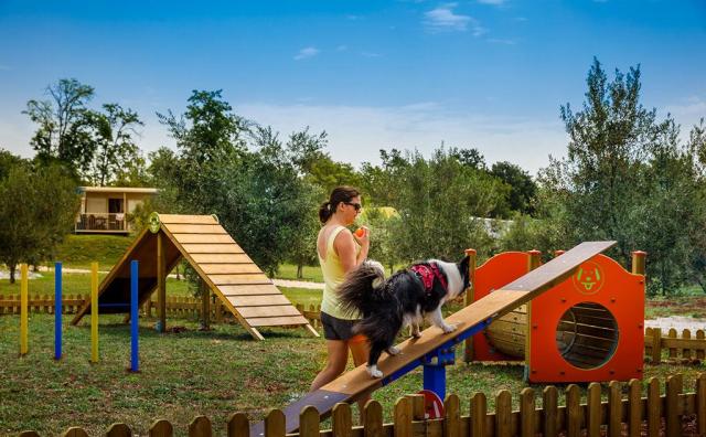 Maravea Camping Resort, Novigrad, Istrie, Chorvatsko, Dovolená 