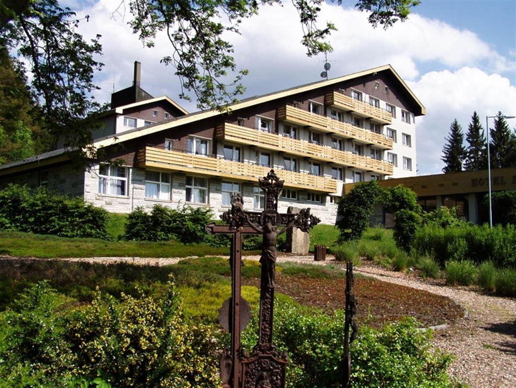 Srní