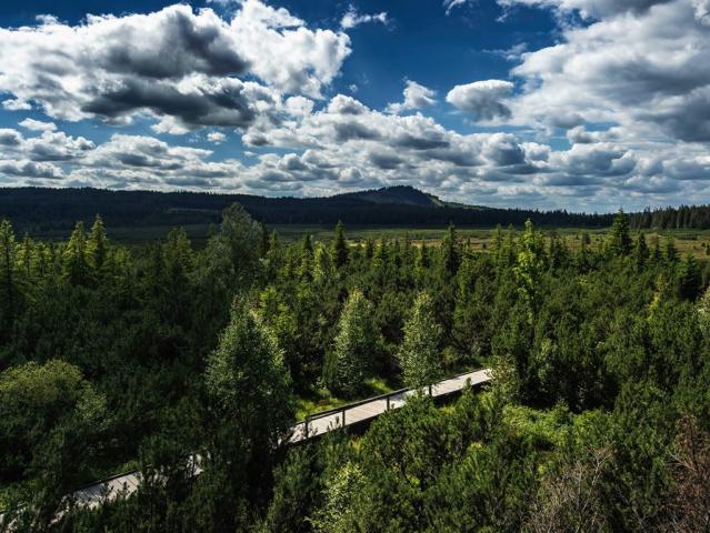 EA Horský hotel Hájenka, Modrava, Kašperské Hory, Šumava - Dovo