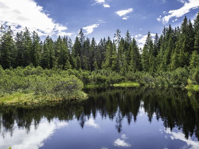 EA Horský hotel Hájenka, Modrava, Kašperské Hory, Šumava - Dovo