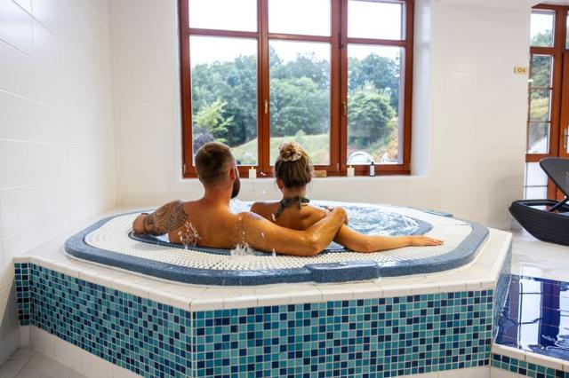 Pytloun Wellness Hotel Hasištejn, Místo, Krušné hory, Česká rep