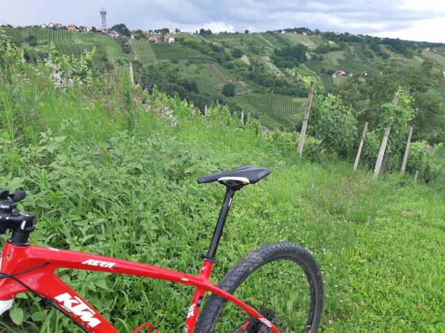 Lendava Thermal Resort. Objevujte Slovinsko.