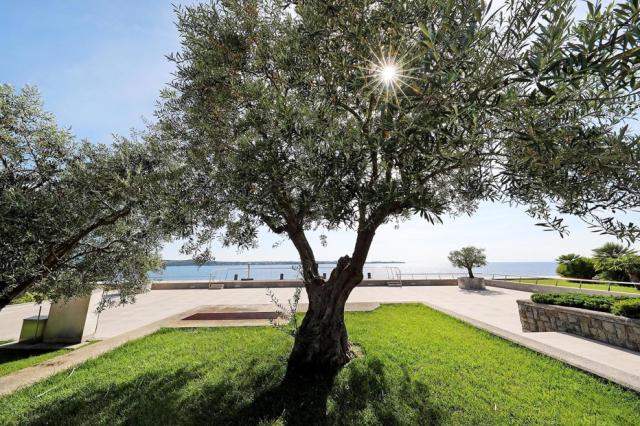 Hotel Histrion, Portorož, Slovinský Jadran, Slovinsko, Dovolená