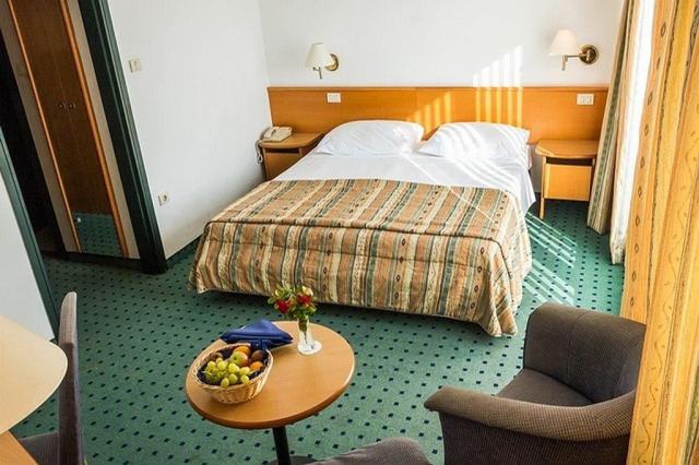 2lůžkový pokoj Standard, Hotel VIle Park Premium, Slovinsko, CK