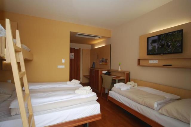 2lůžkový pokoj AKCE 2+2, Vulkan Wellness Hotel, CK 