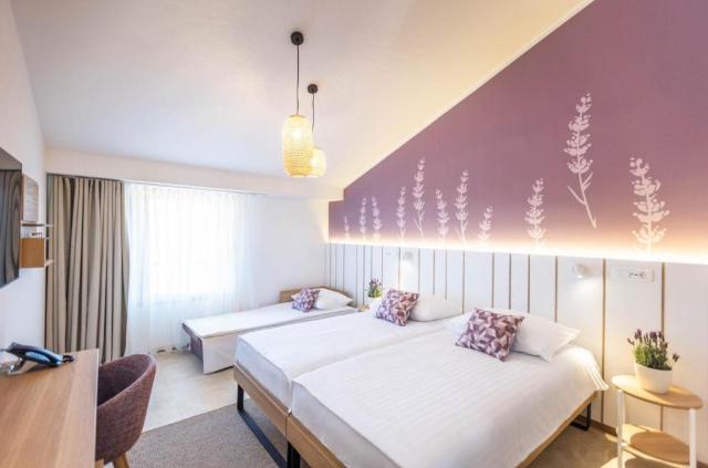 2lůžkový pokoj Premium s přistýlkou, Hotel VIle Park Premium, S